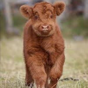 Meet your Posher, Accacia